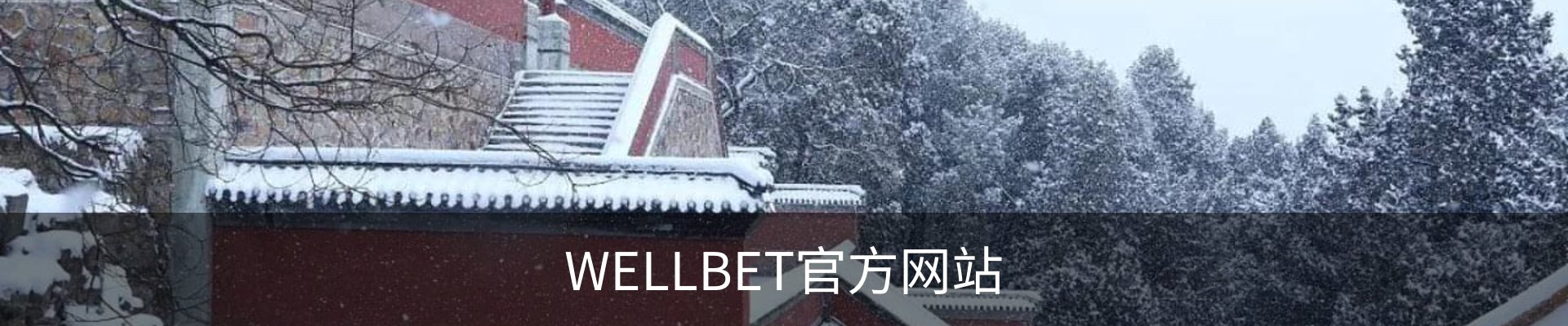 WELLBET - 官方网站
